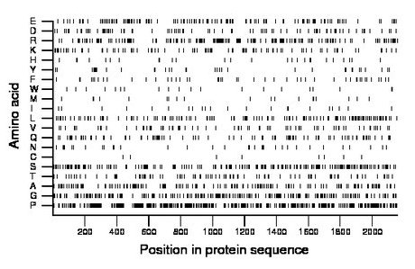 amino acid map