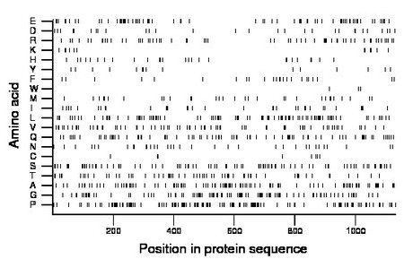 amino acid map