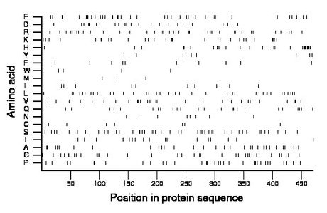 amino acid map