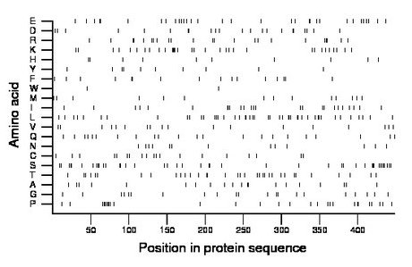 amino acid map