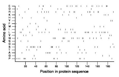 amino acid map