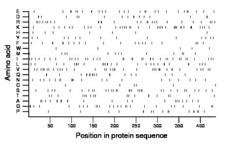 amino acid map