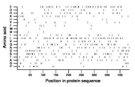 amino acid map