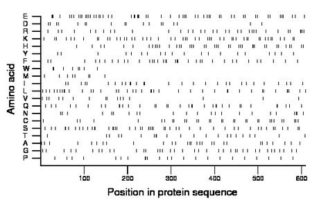 amino acid map