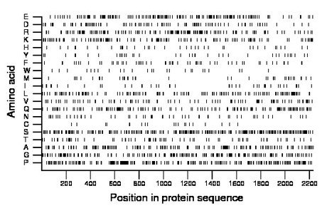 amino acid map