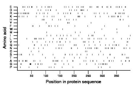 amino acid map