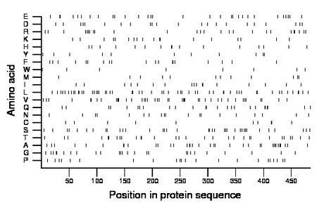 amino acid map