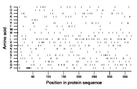 amino acid map