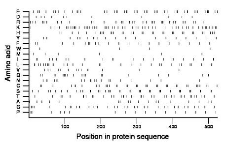 amino acid map