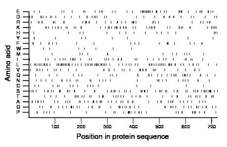 amino acid map