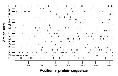 amino acid map