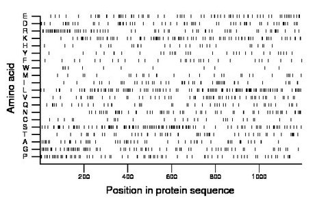 amino acid map