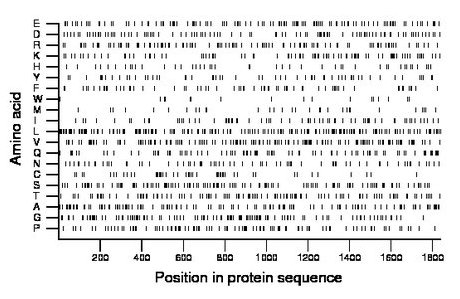 amino acid map