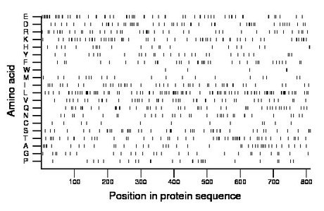 amino acid map