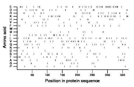 amino acid map