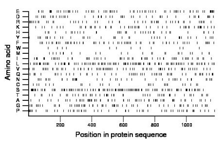 amino acid map