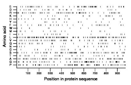 amino acid map