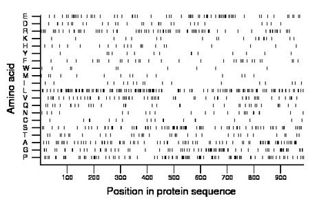 amino acid map