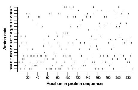 amino acid map