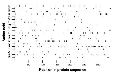 amino acid map