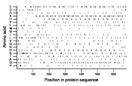 amino acid map