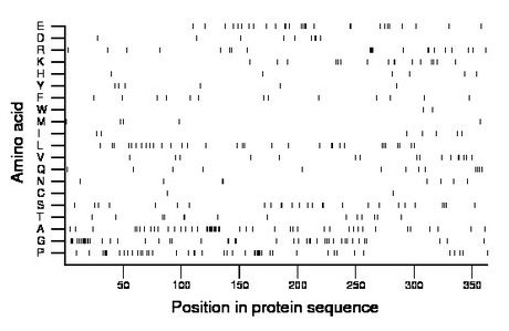 amino acid map