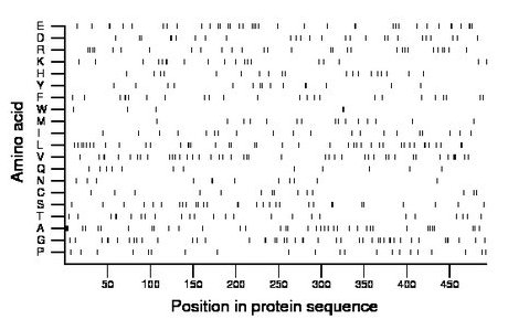 amino acid map