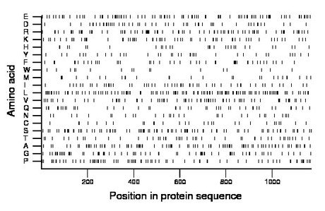 amino acid map