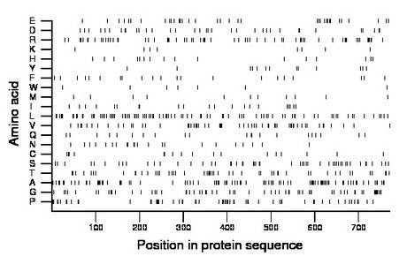 amino acid map