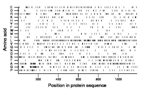 amino acid map