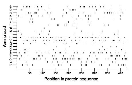 amino acid map