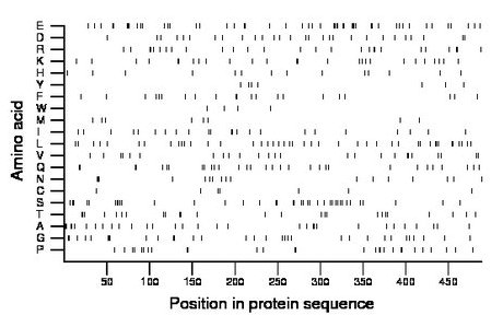 amino acid map