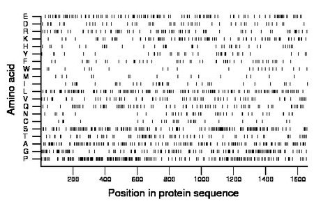 amino acid map