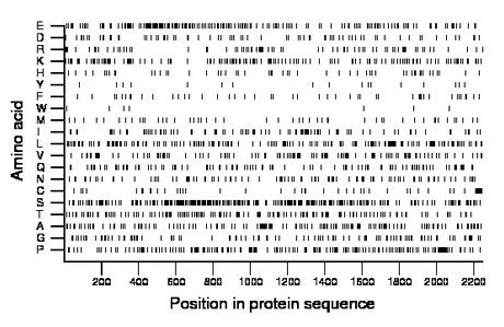 amino acid map