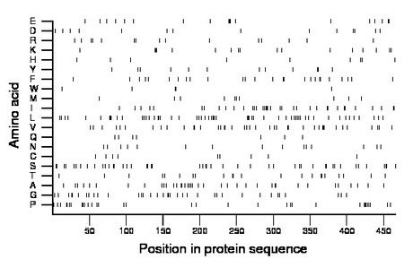 amino acid map