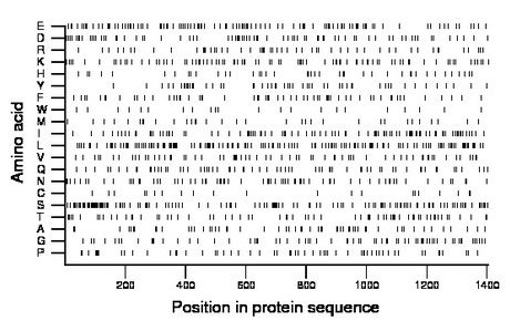 amino acid map