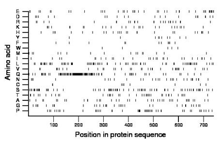 amino acid map