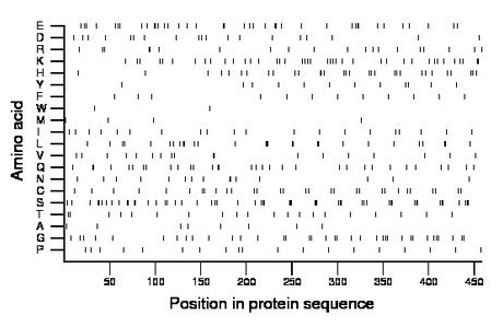 amino acid map