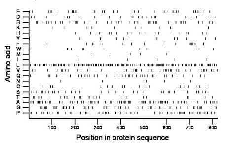 amino acid map