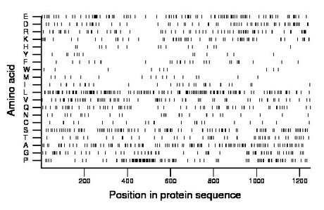 amino acid map