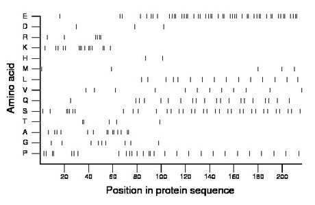 amino acid map