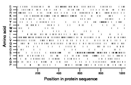 amino acid map