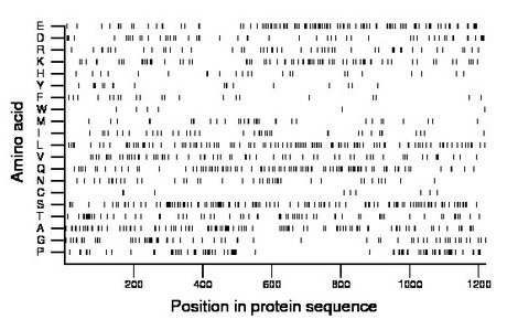 amino acid map