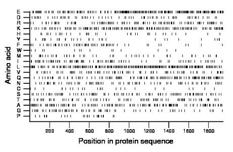 amino acid map