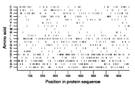 amino acid map