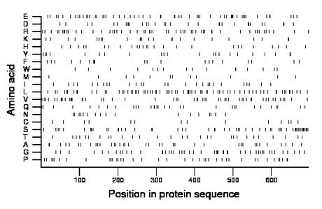 amino acid map