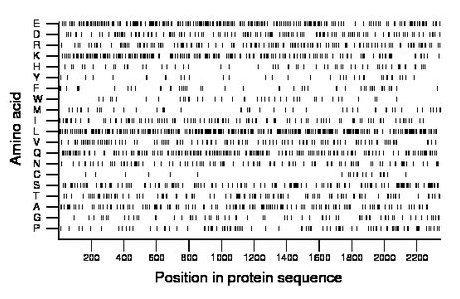 amino acid map