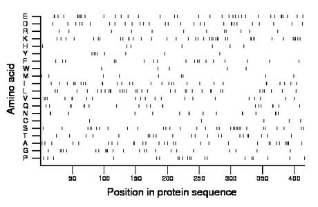 amino acid map