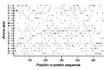 amino acid map