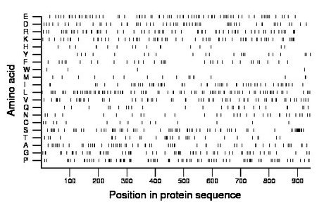 amino acid map